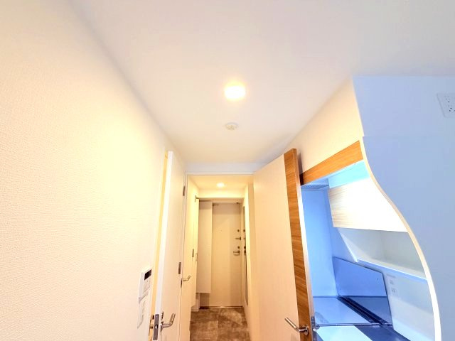 セレニテ西元町アリエの玄関