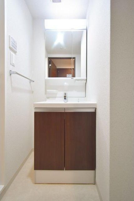 リッツ難波南Ⅱの洗面所