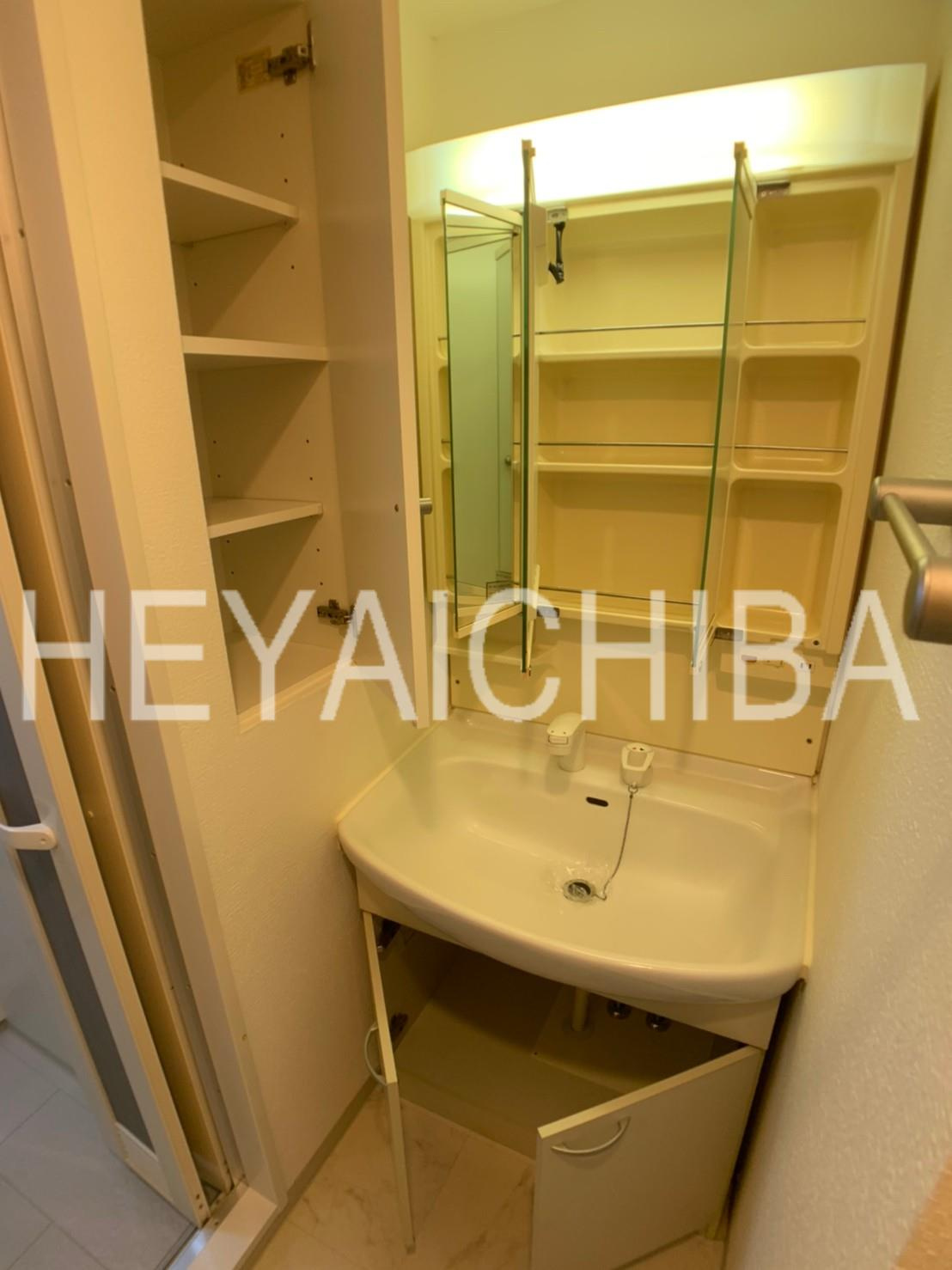 ヒューマンハイム新御徒町の洗面所|洗面台収納