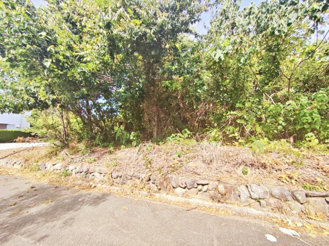土地　日高郡印南町の外観