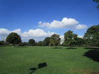 木場公園まで625m