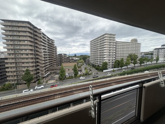 インプルーブ緑地公園の展望