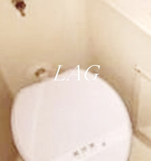 【トイレ】 | スカイコート赤羽 | トイレです。
