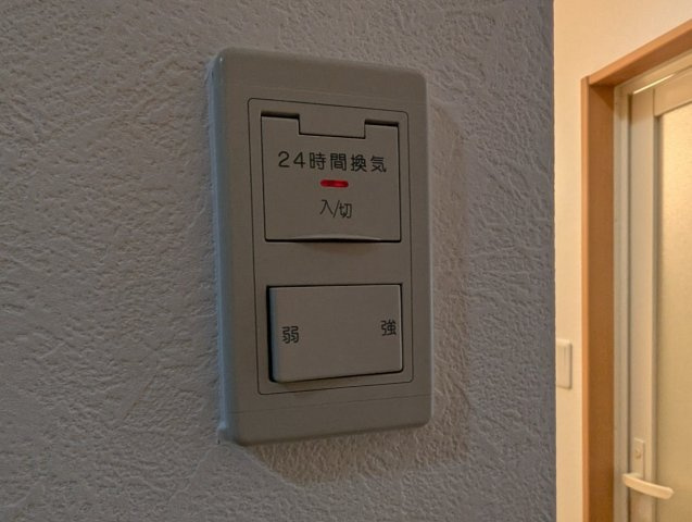 ラピスのその他