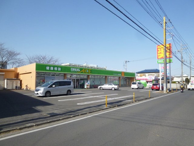 ドラッグエース岸町南店まで350ｍ