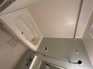 バス