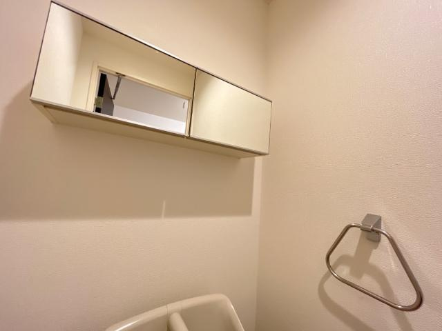 コニーアパートメント．のトイレ|ミラーキャビネット