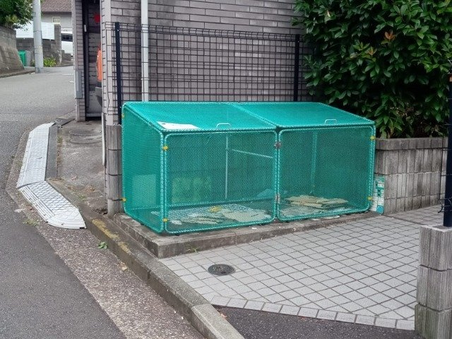 レオネクストエムズ早渕Ⅲのその他