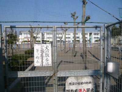 茅ヶ崎市立茅ヶ崎小学校まで550m