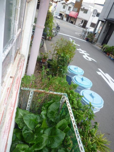 千島アパートの展望|★窓からの眺め★