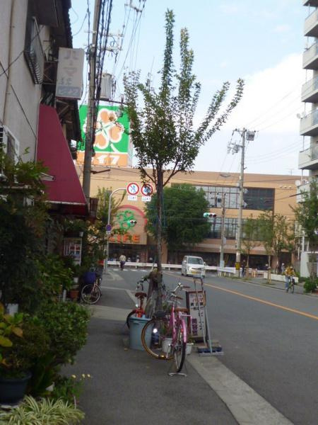 千島アパートの展望|★建物周り★