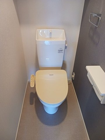 エミリアナのトイレ