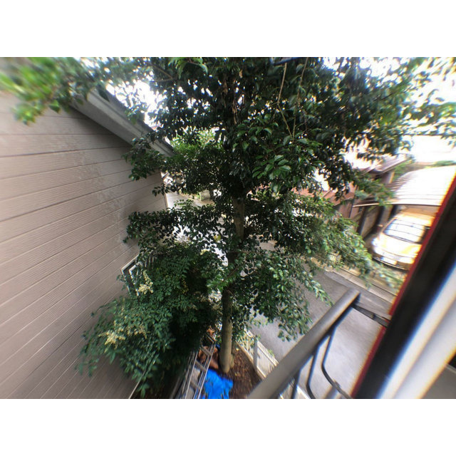 ハイツ前原の内装