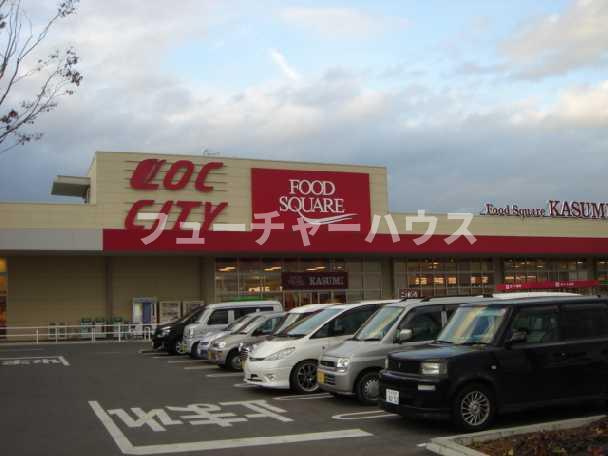 イーストパールⅡ（ＥＡＳＴ　ＰＥＡＲＬⅡ）の周辺|カスミフードスクエアイオンタウン水戸南店まで1,076ｍ