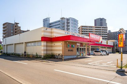 ブランニューメゾンの周辺|ツルハドラッグ　東札幌店まで700m