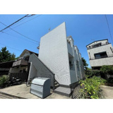 ルミエール　黄金(ルミエールコガネ)の画像
