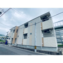 ヴィータ+Nの画像