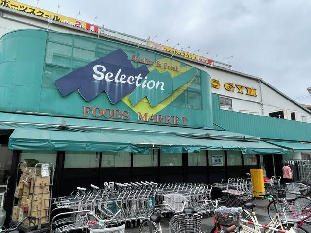 ステラコート行徳の周辺|ＦＯＯＤＳ　ＭＡＲＫ…まで572m
