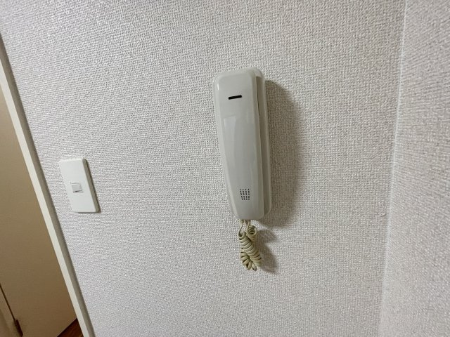 ピュアパレスⅡのセキュリティ