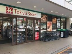 【周辺】 | グランドール大岡山