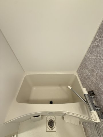 S-RESIDENCE難波大国町Deuxの浴室