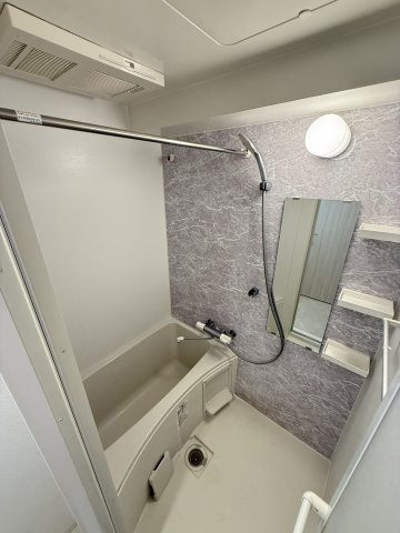 S-RESIDENCE難波大国町Deuxの浴室