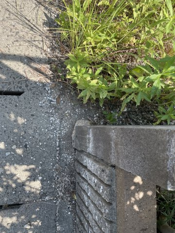 高島市新旭町藁園中古戸建のその他|境界