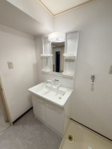 ハイム大手前の洗面所