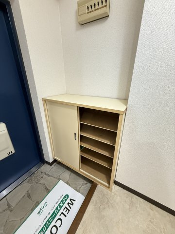 ハイム大手前の収納