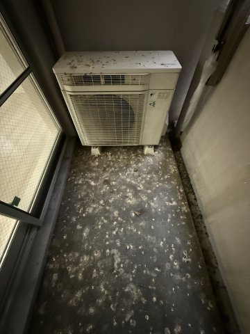 プレミスト堺筋本町ラディーナのその他