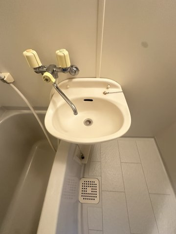 グレーコート大橋の洗面所