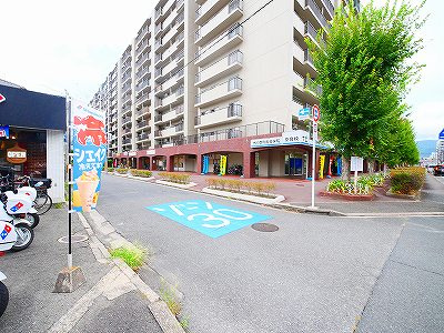 サンフェアリーⅢ