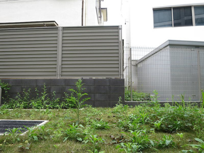 【展望】 | ARCOBALENO SAKURASHINMACHI