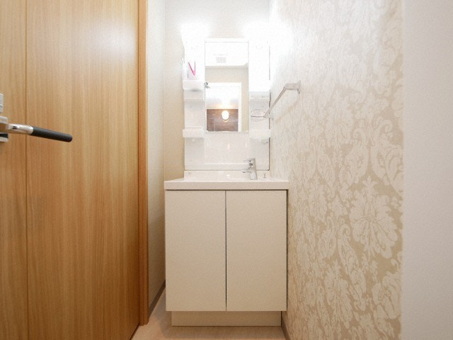 L-IDEA　MINAMIHORIE（リデア南堀江）の洗面所