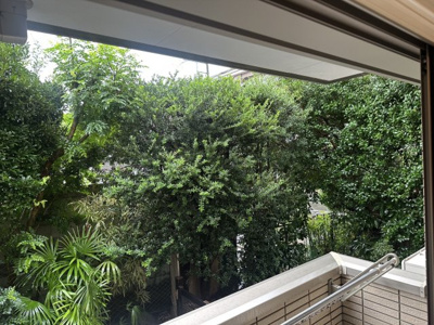 【展望】