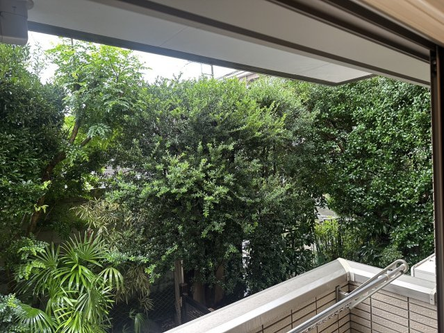 【展望】 | カーサヴェルデ