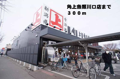 【その他】 | グレース　弐番館