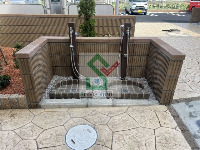 ペガサスBのその他