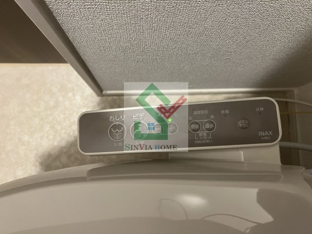 ペガサスBのその他