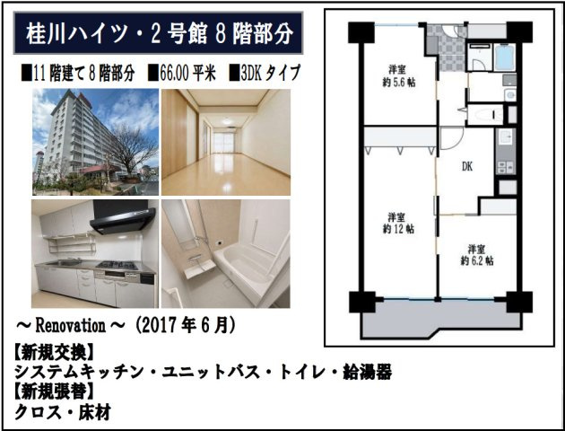 桂川ハイツ２号館の間取り