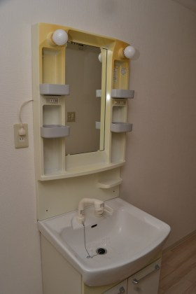 ビビッド北堀江の洗面所