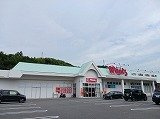 エテルノⅡの周辺|ウォンツまで350m