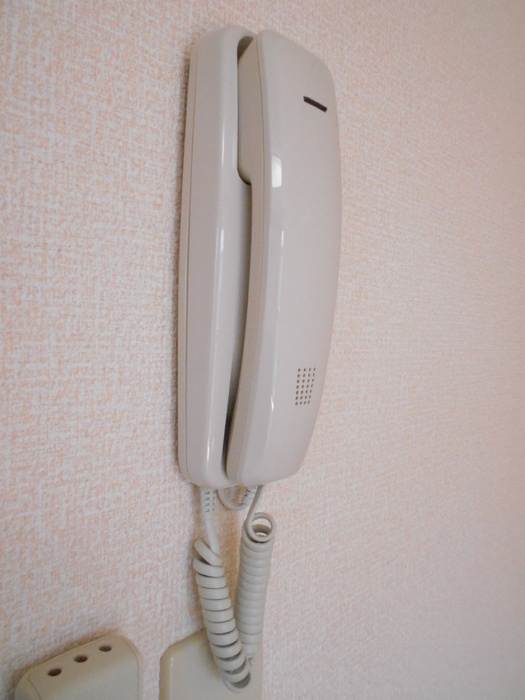 プリシェール壱番館のセキュリティ
