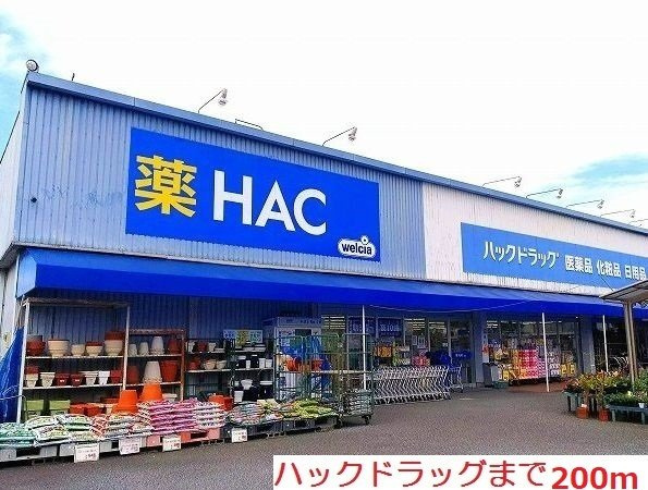 パーム・ツリーの周辺|ハックまで200m