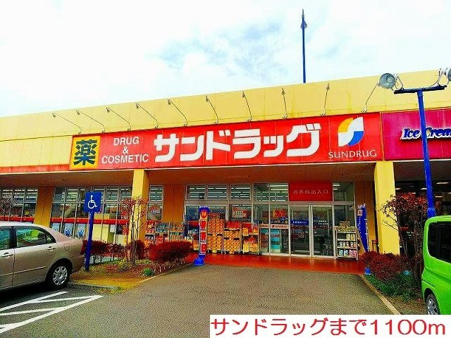 ブライトフラワーＤの周辺|サンドラッグまで1100m