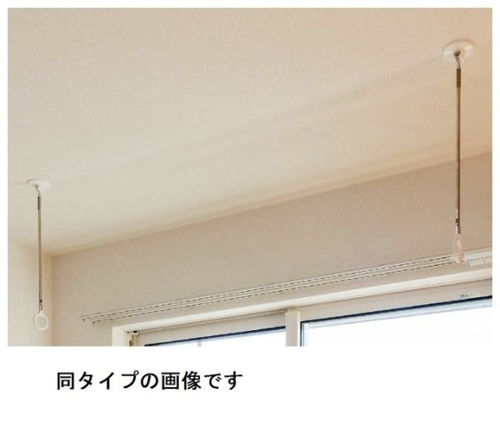 リベラフィオーレのその他
