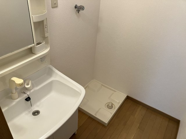 パレス小沢7の洗面所