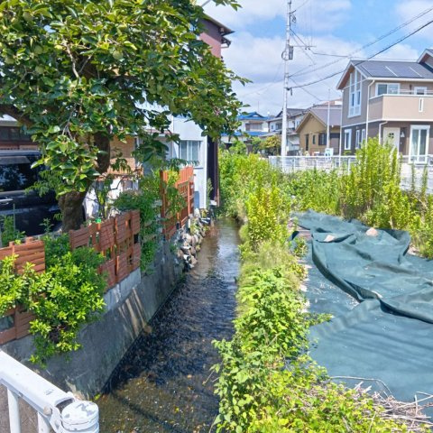 【その他】 | 三島市谷田 売土地  ET06338 | 三島市谷田　北側河川