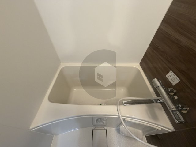 サンヴェール新池の浴室