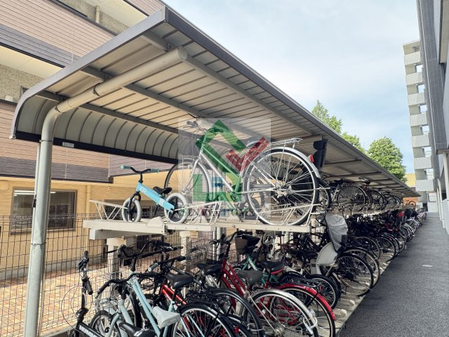 カーサパトリスのその他